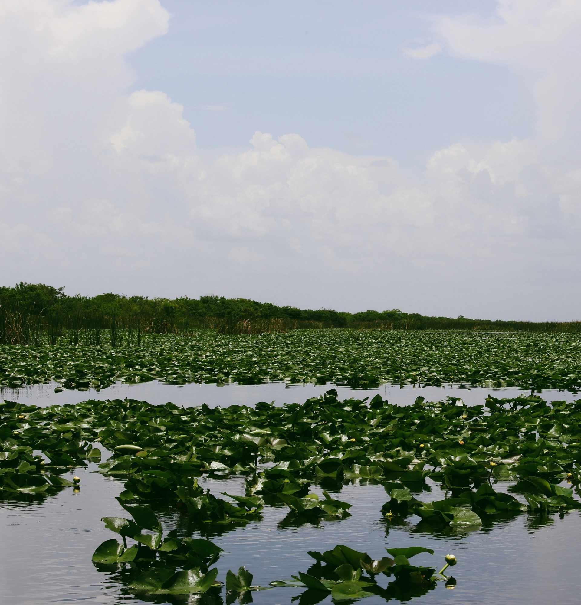 A Complete Guide to National Parks in Florida